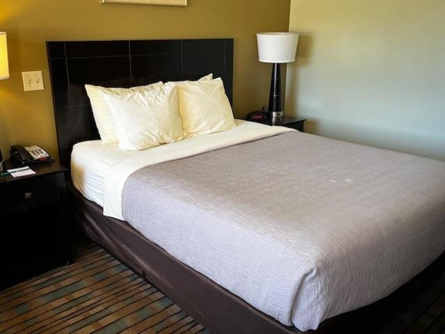 Window Rock Quality Inn Navajo Nation Capital מראה חיצוני תמונה